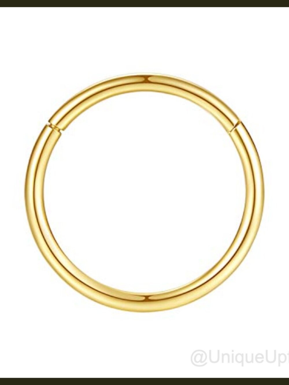 Hypoallergenic 316L Surgical Steel Nose Ring Hinged Segment Hoop Piercing